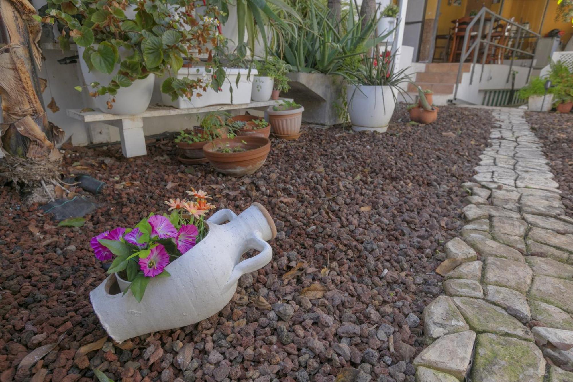 Loft Cerca Del Mar Tenerife 푼타델히달고 외부 사진
